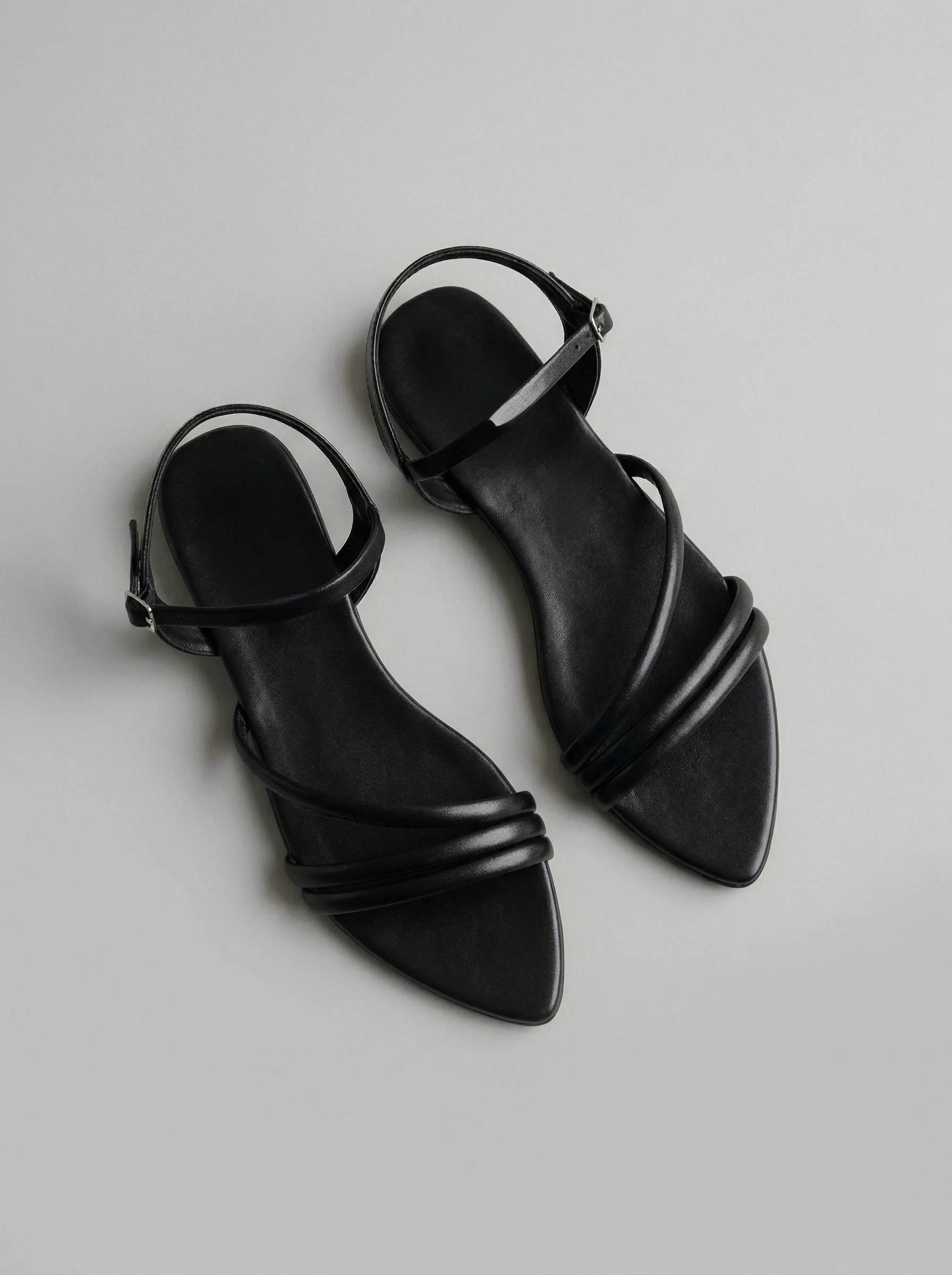 Alex Black - Image 4