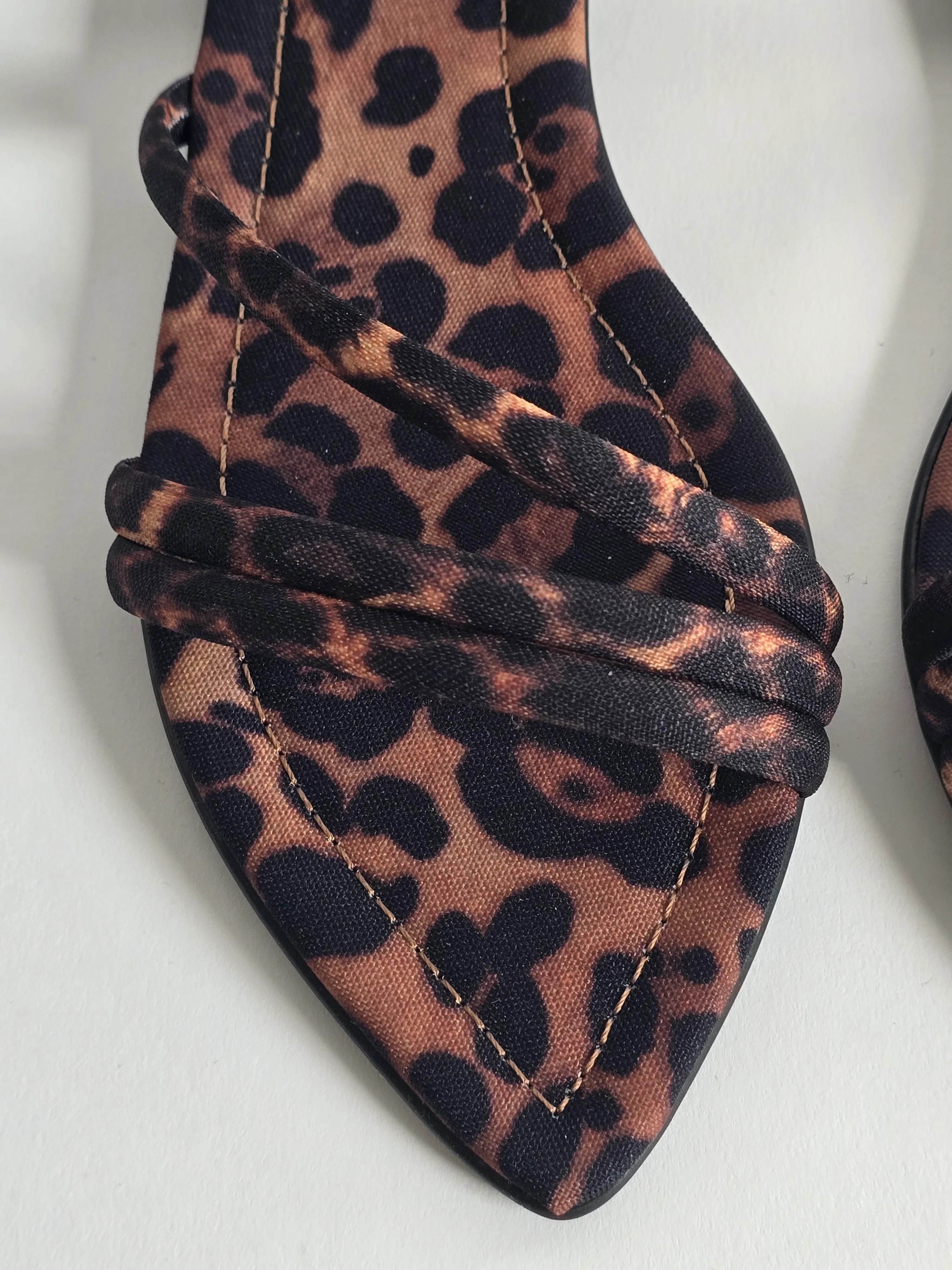 Alex Leopard - Image 5