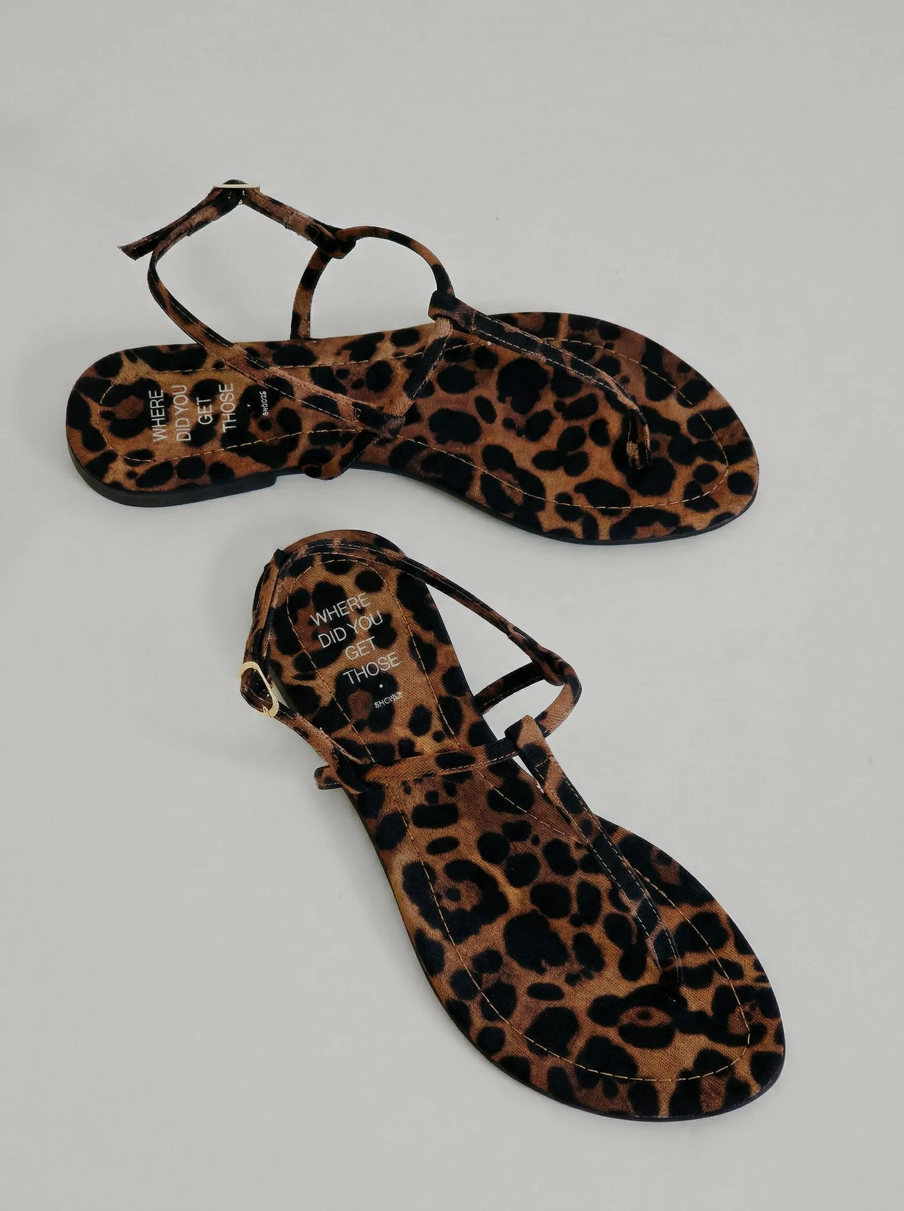 Alma Leopard - Image 3