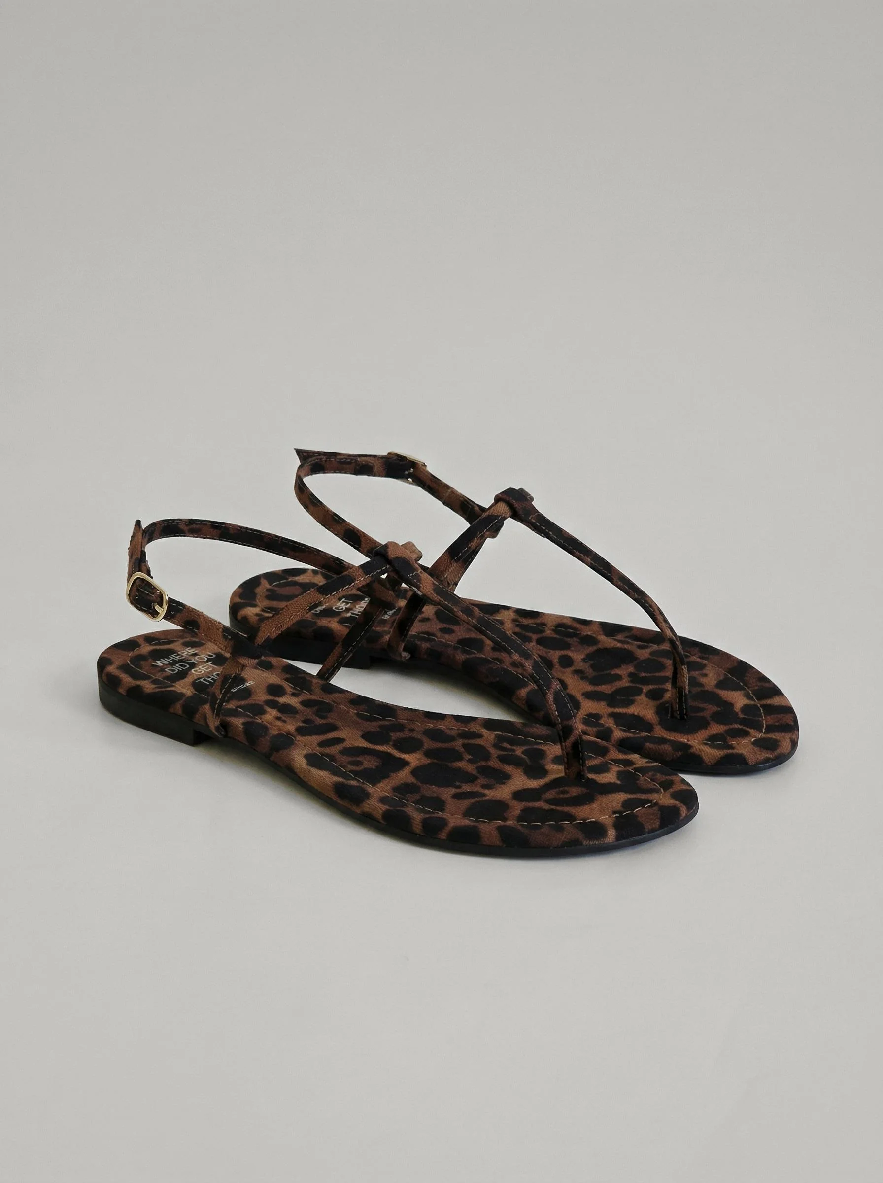 Alma Leopard - Image 5