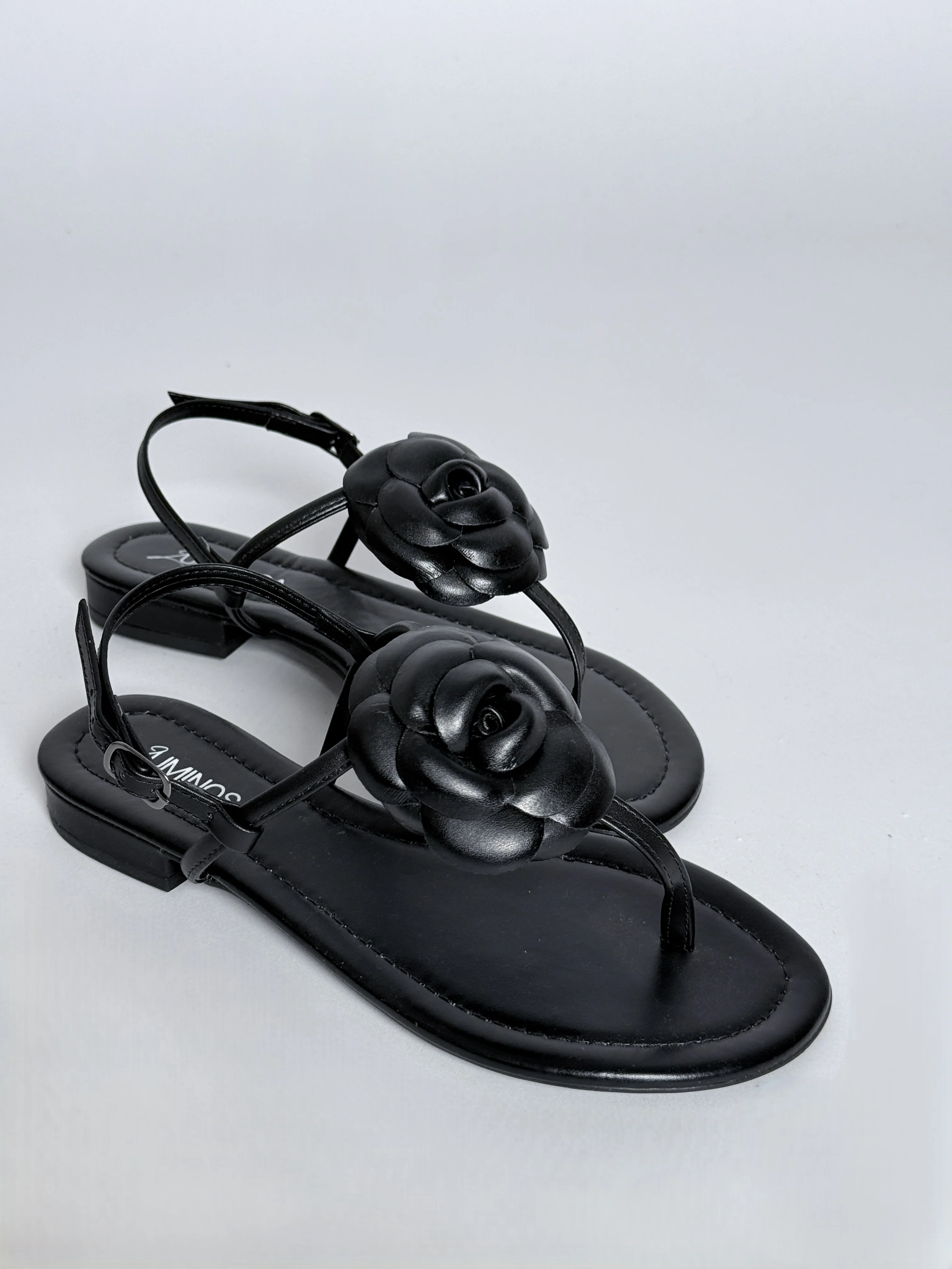 Annie Black - Image 5