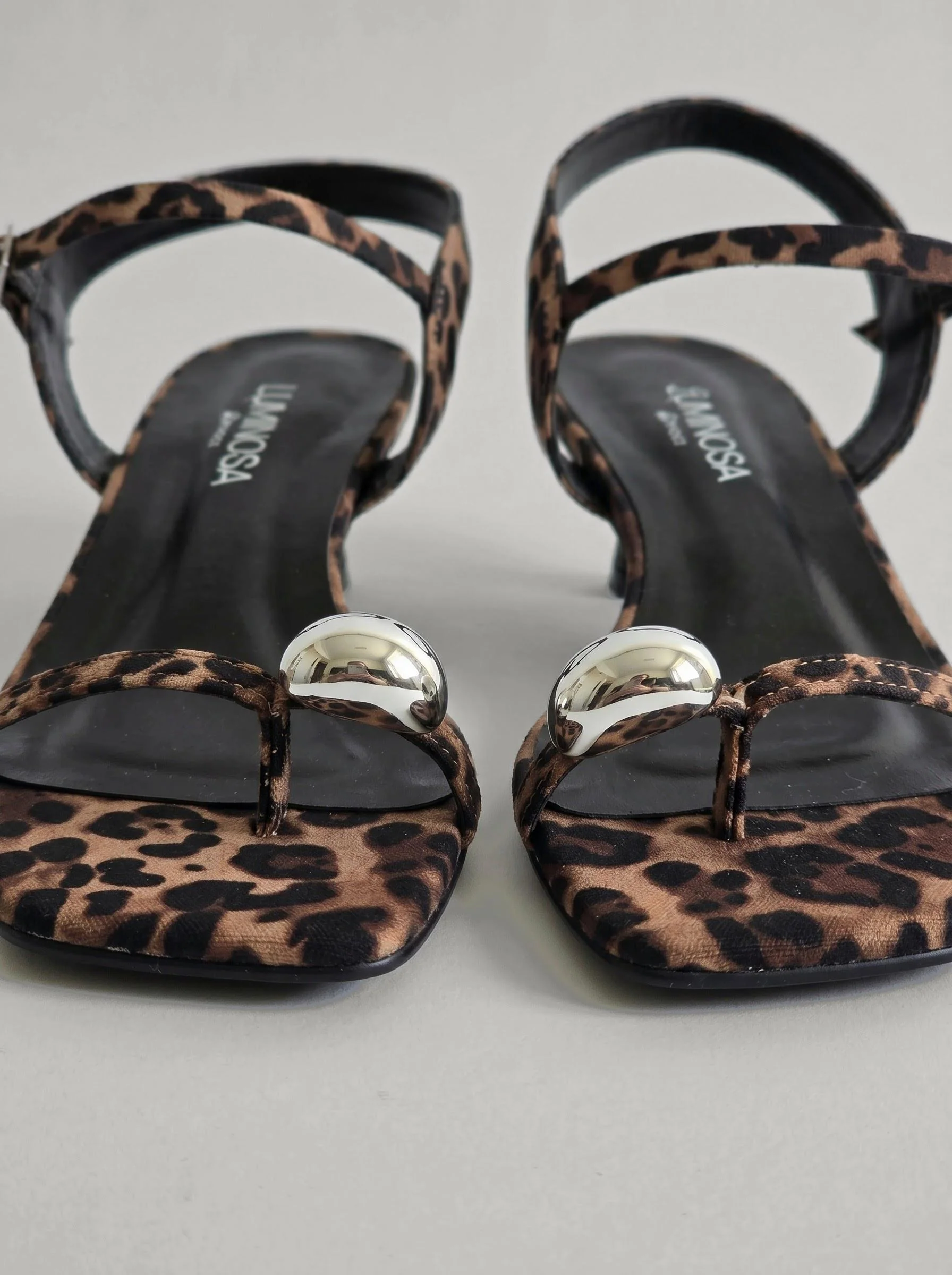 Brook Leopard - Image 3