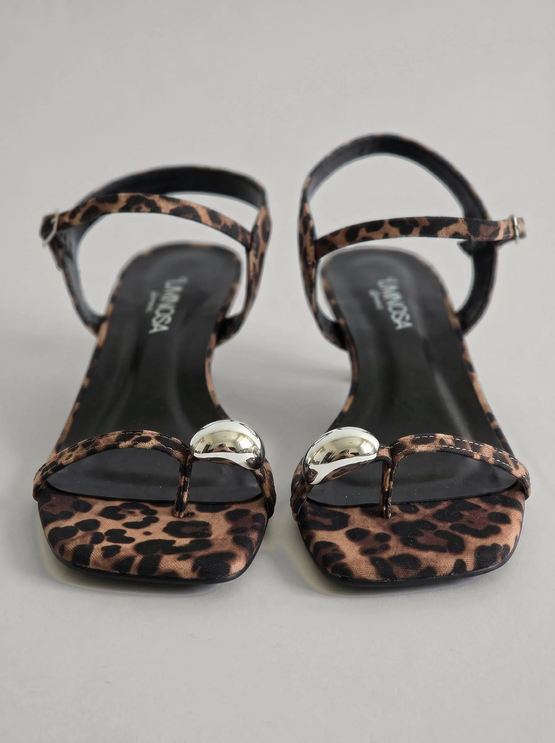 Brook Leopard - Image 5
