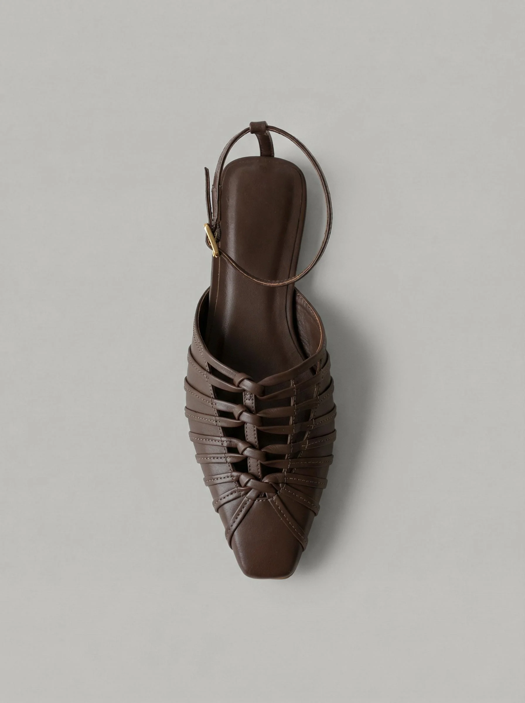 Capsule - Daisy Brown - Image 3