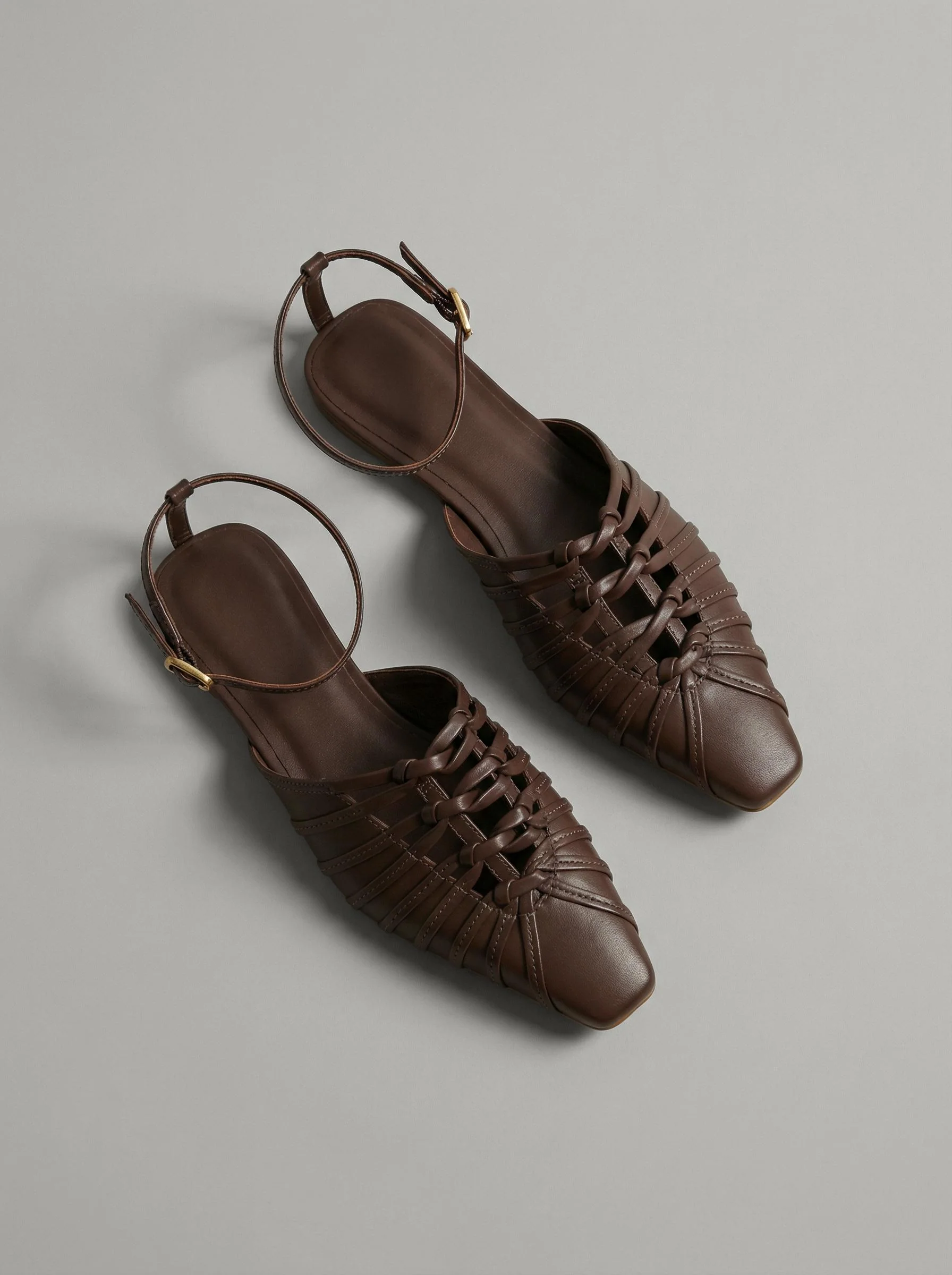 Capsule - Daisy Brown - Image 4