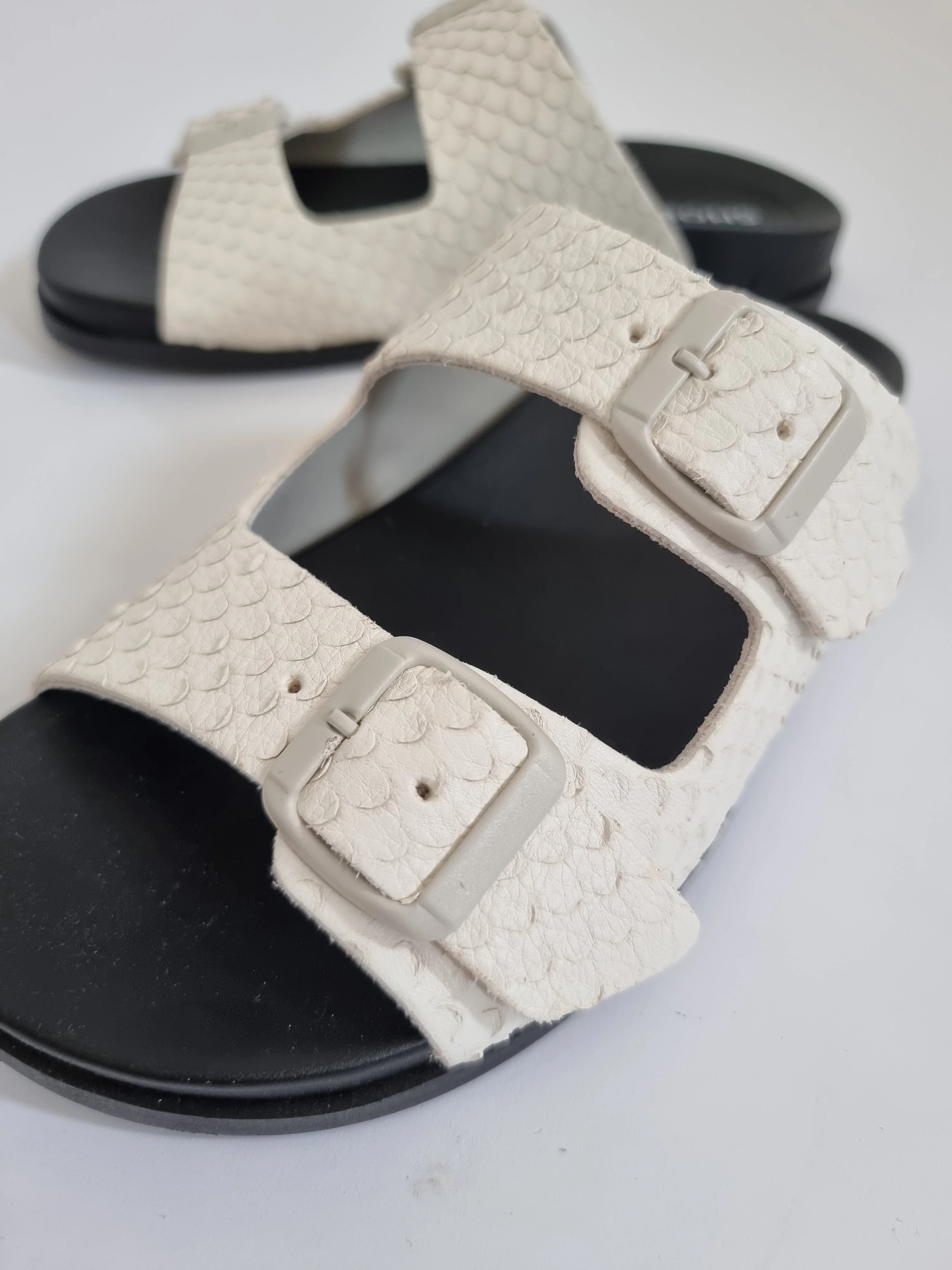 Dassy White - Image 4