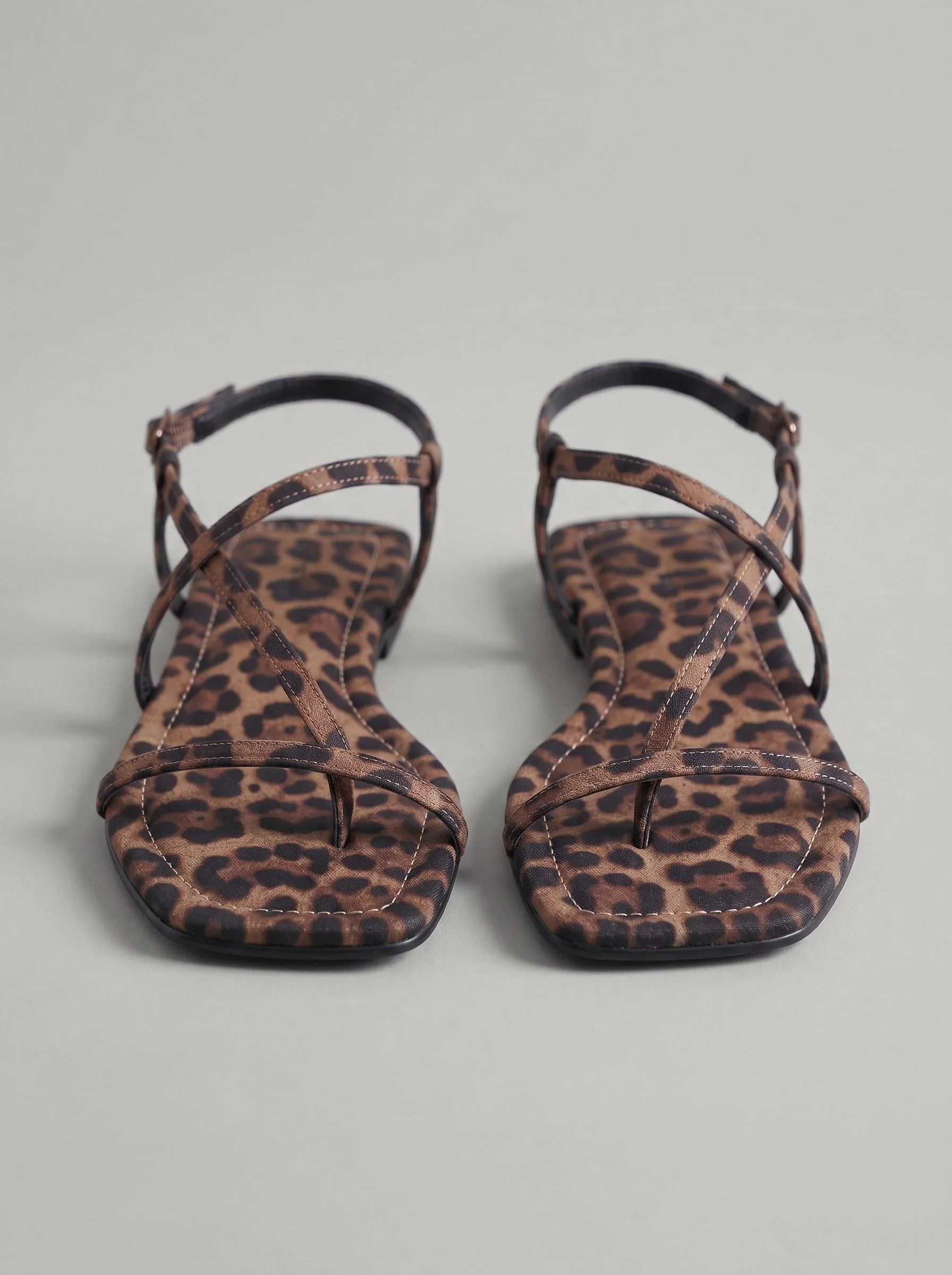 Eidan Leopard - Image 5