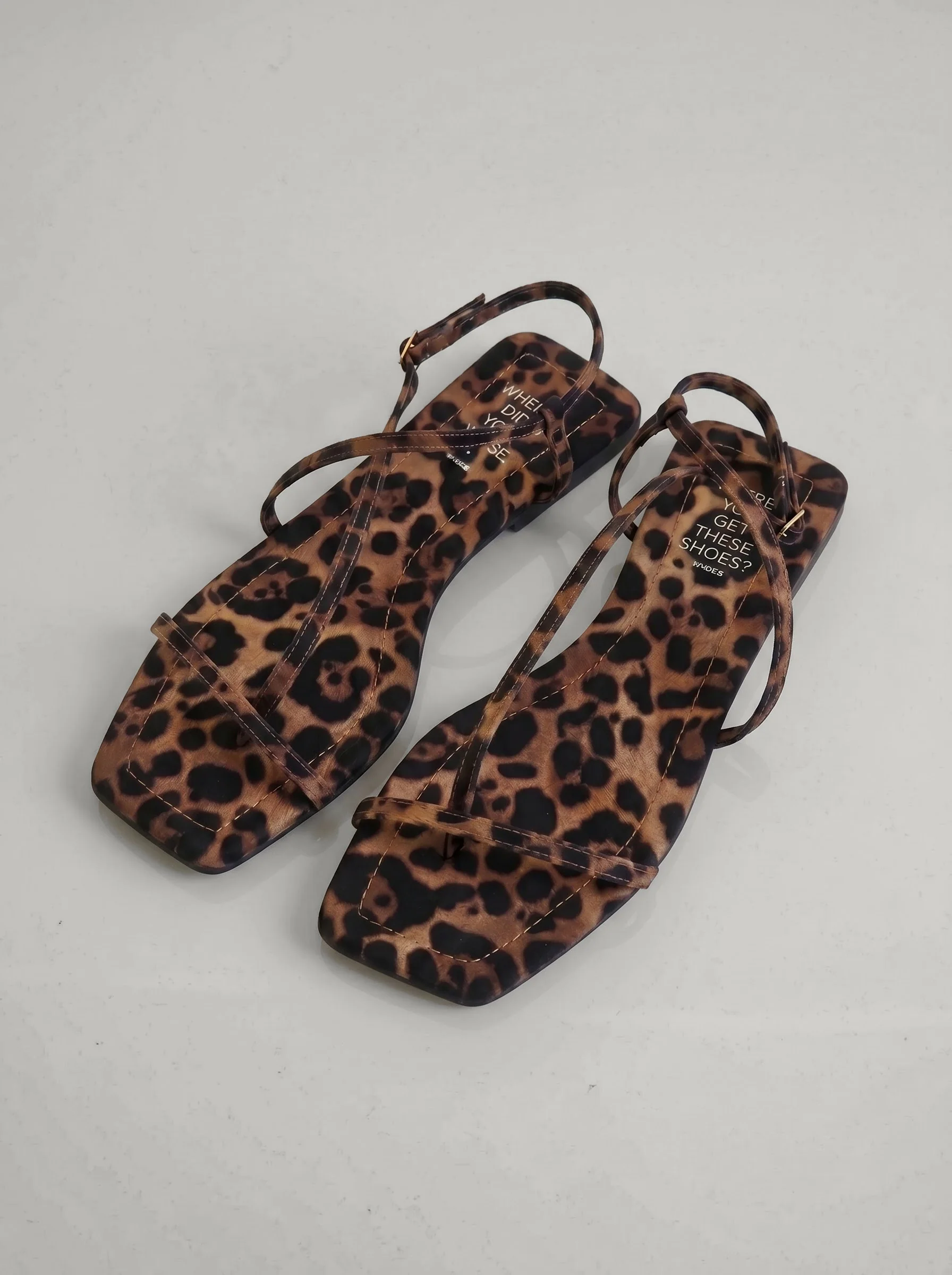 Eidan Leopard - Image 6