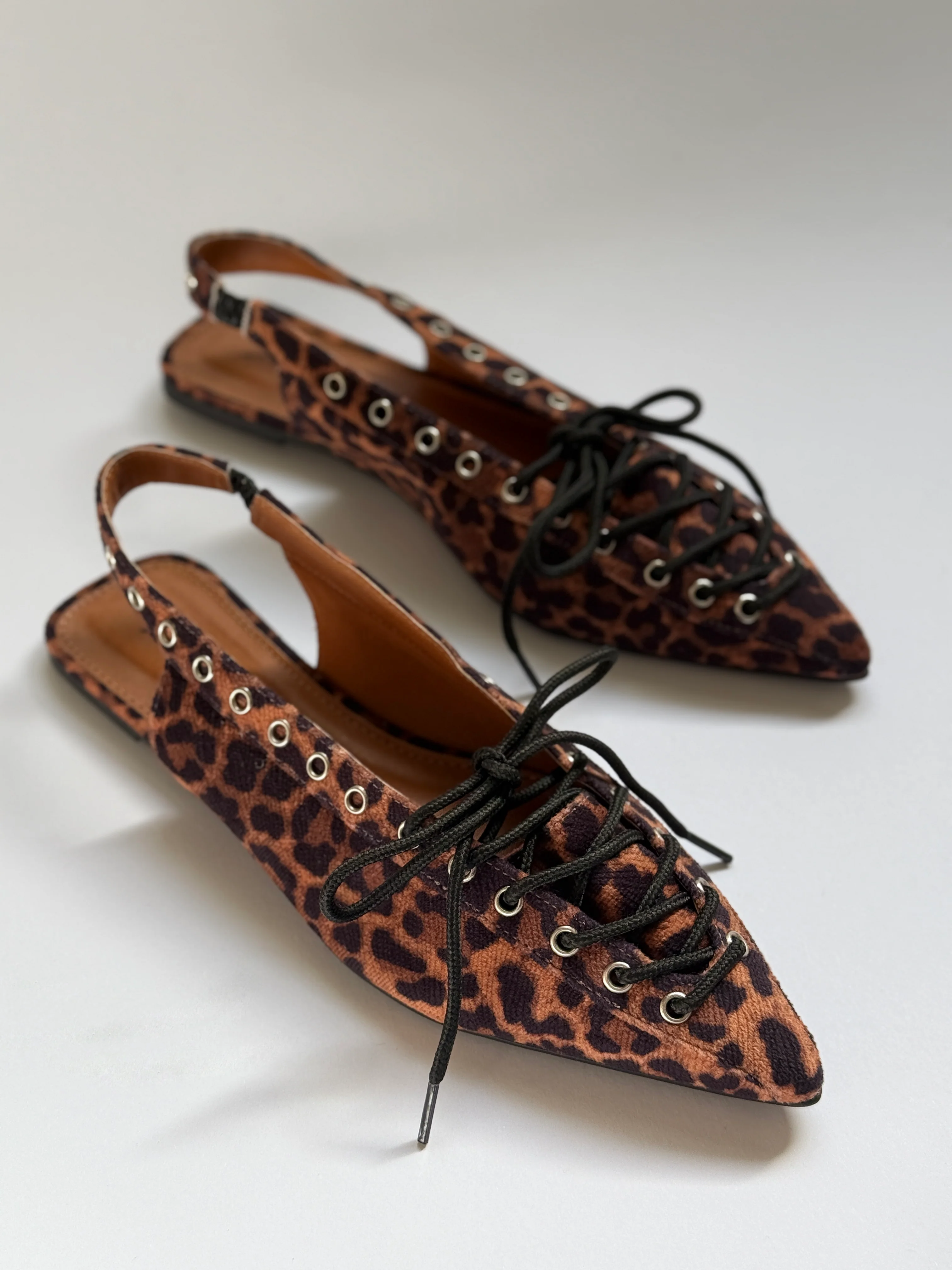 Emmy Leopard - Image 4