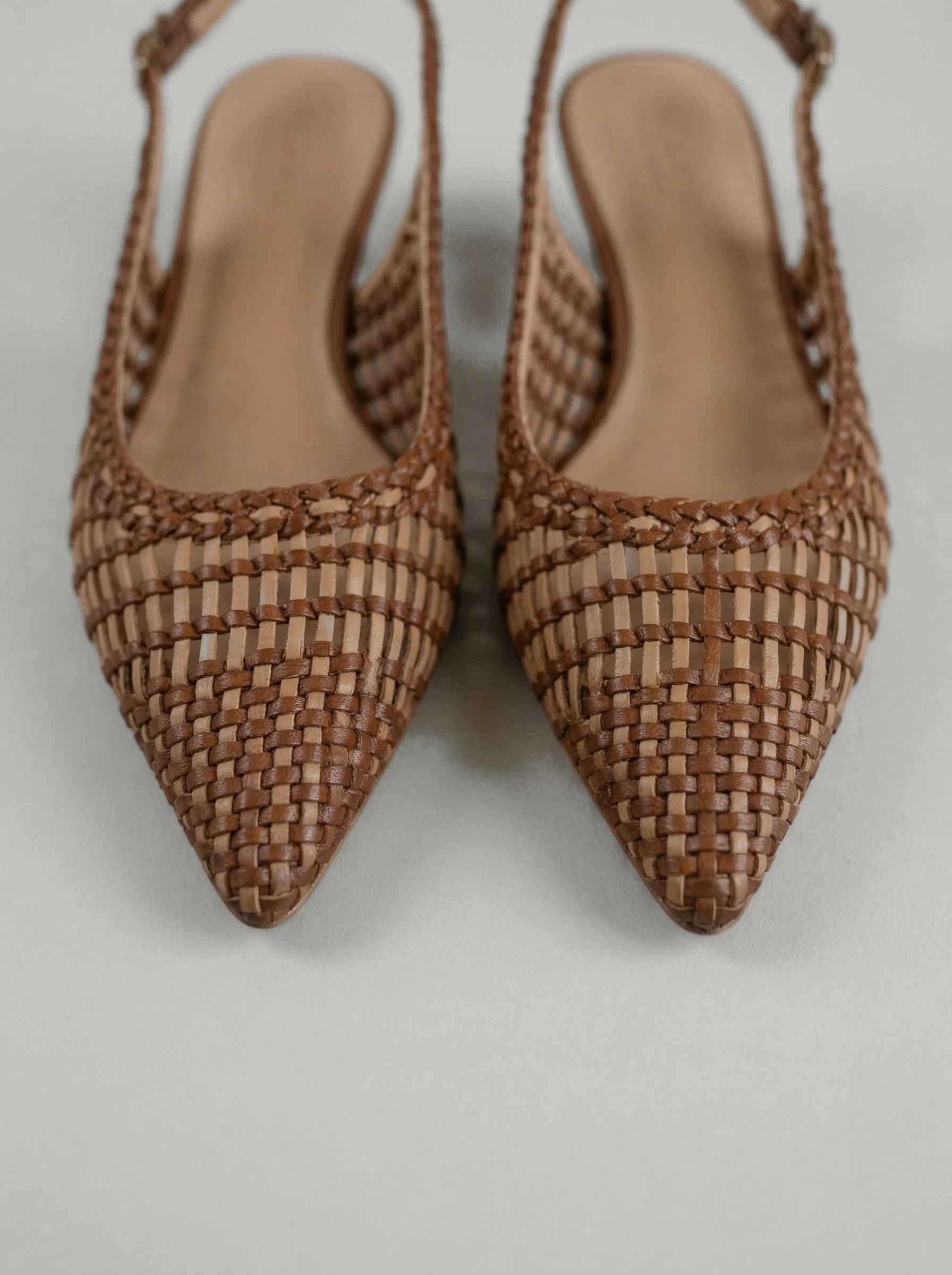 Ginger Brown - Image 5