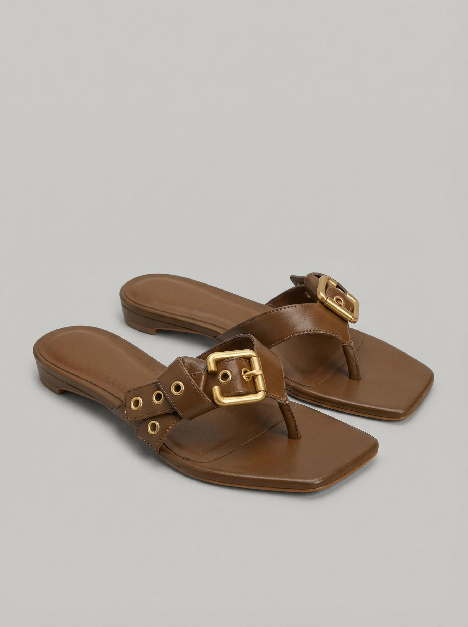 Capsule - Koner Brown - Image 3