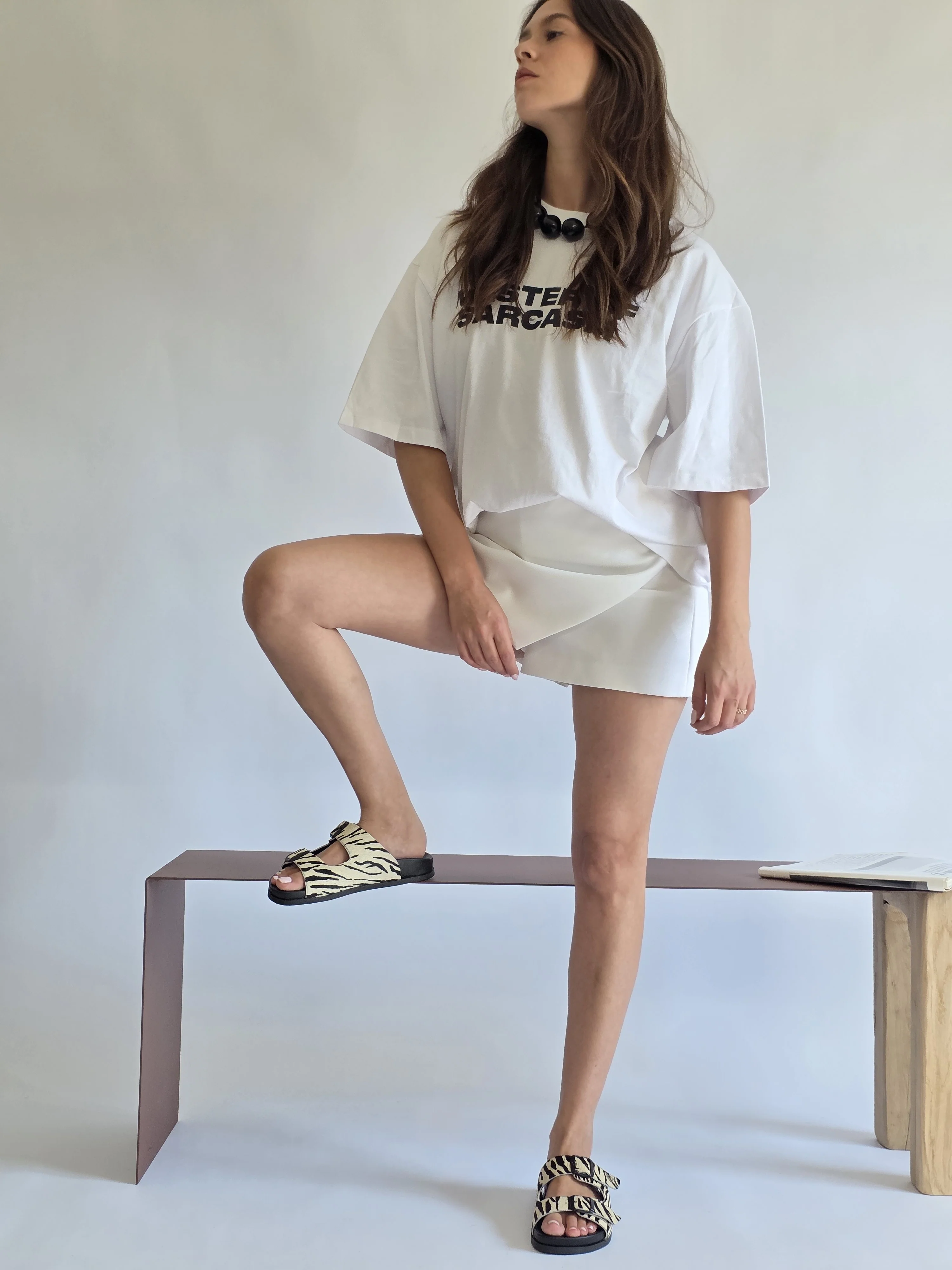 Dassy Zebra - Image 3
