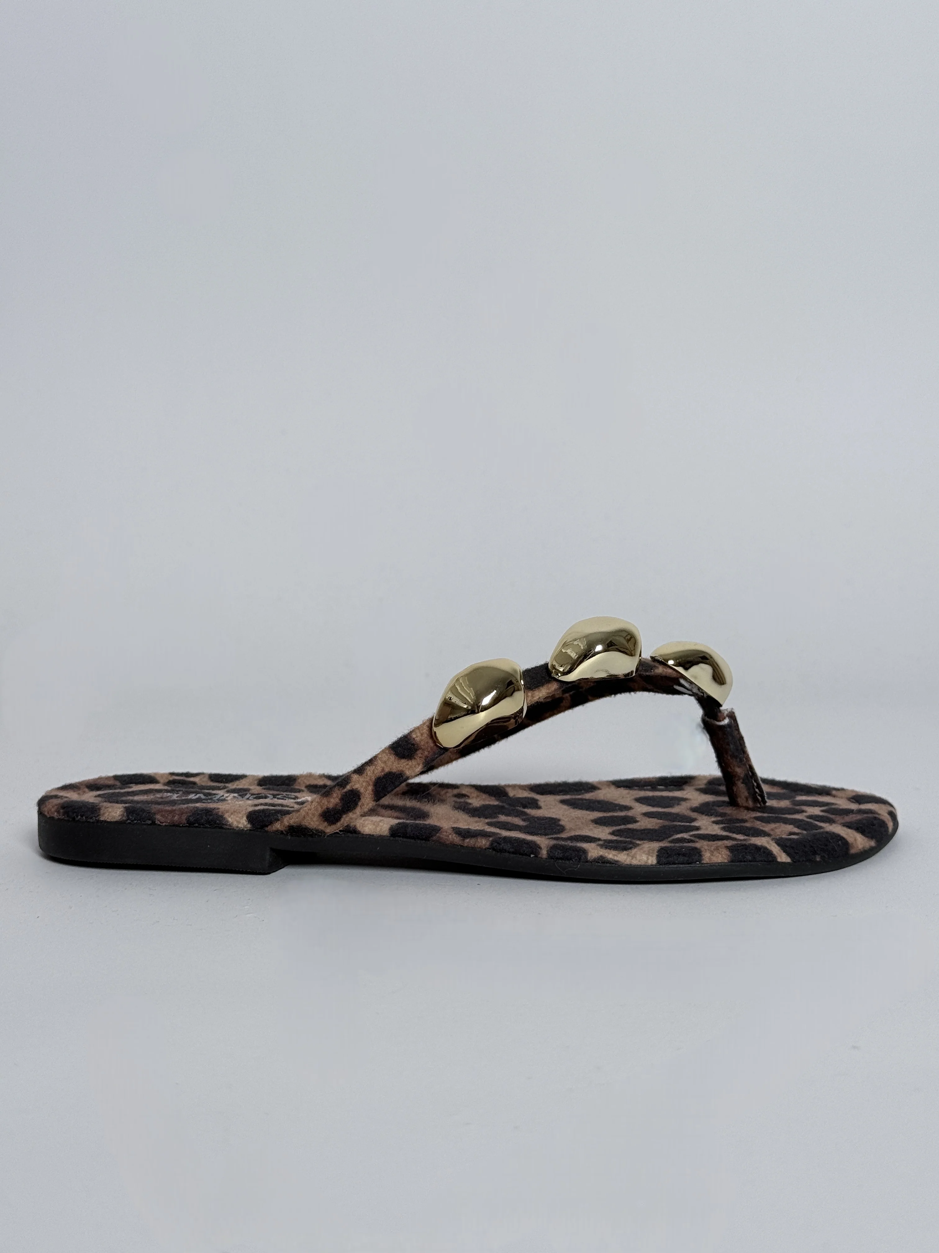 Miller Leopard - Image 3