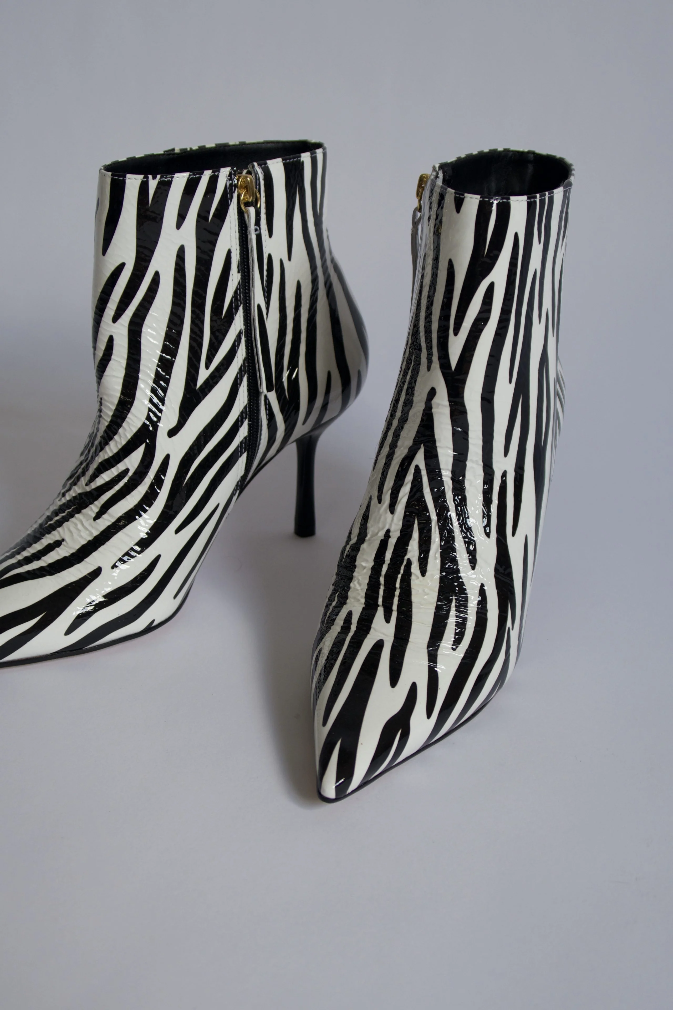 William Zebra - Image 3